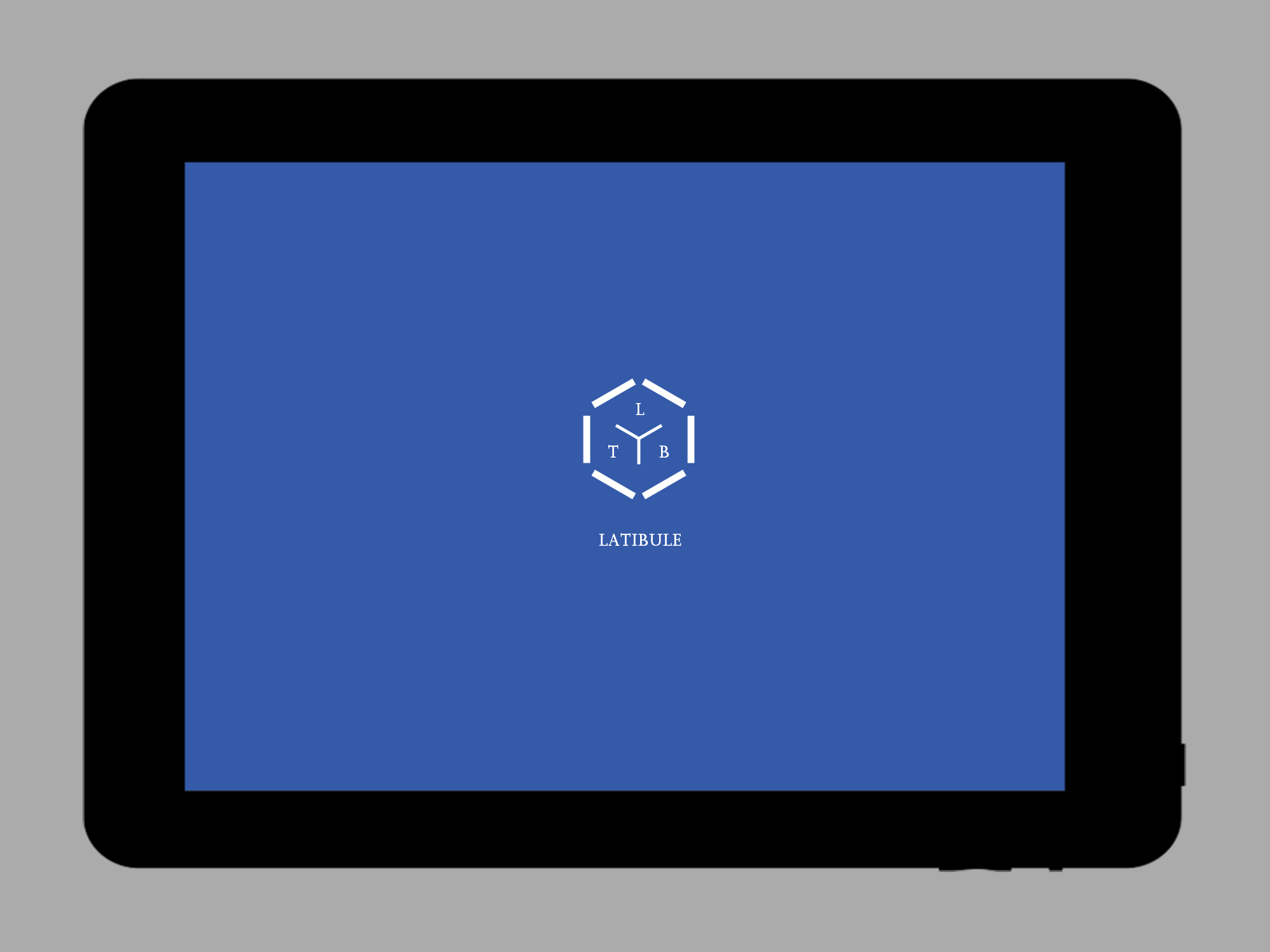 latibbule webiste design web1