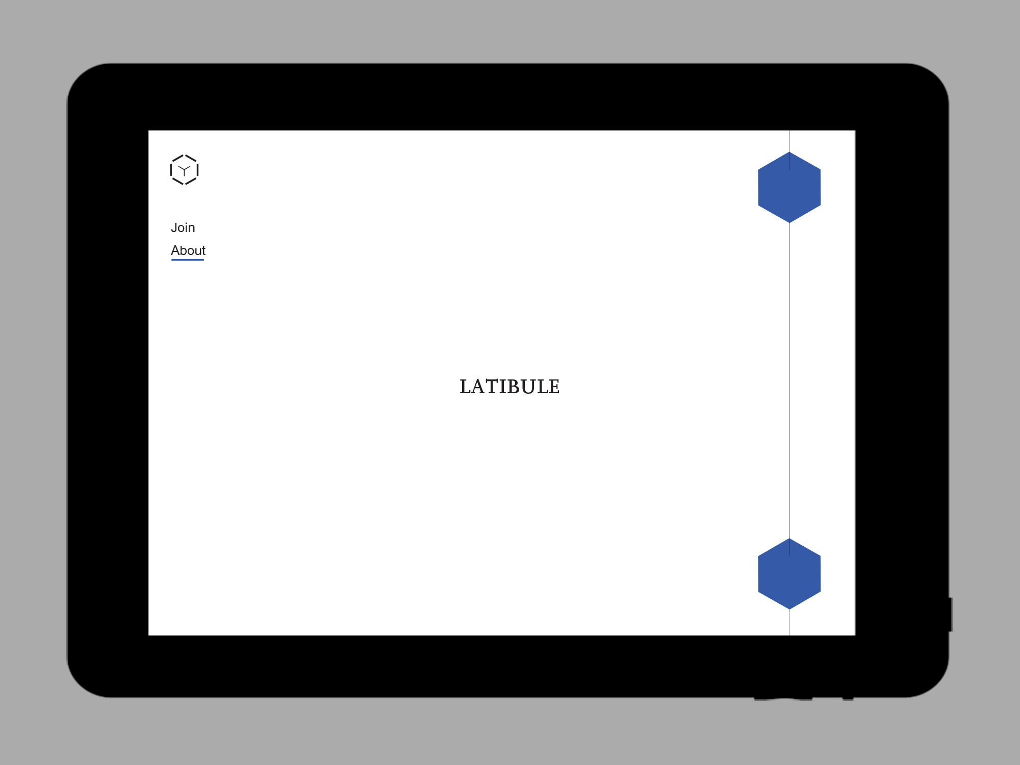 latibule website design web3